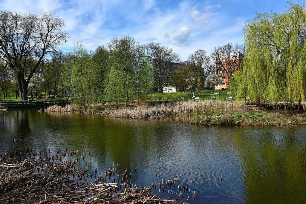 Dlaczego warto kupić mieszkanie w Warszawie na Rakowcu? Px Park Im Zasława Malickiego W Warszawie A